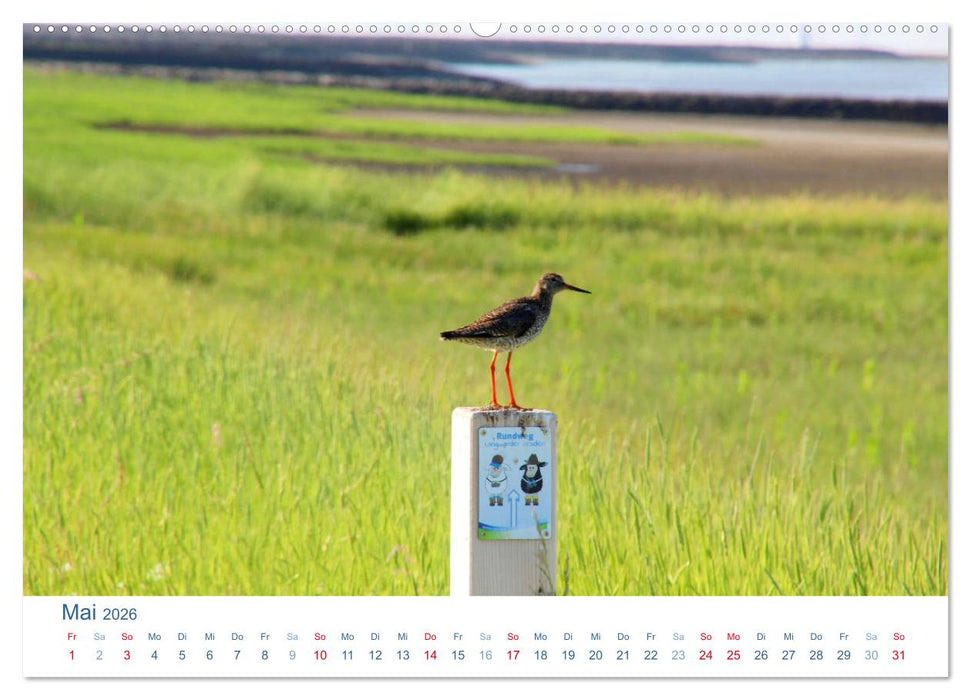 Butjadingen 2026. Impressionen zwischen Jade und Weser (CALVENDO Premium Wandkalender 2026)