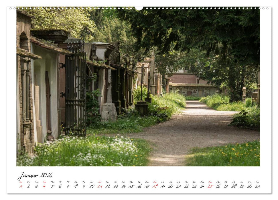 Alter Friedhof Freiburg (CALVENDO Premium Wandkalender 2026)