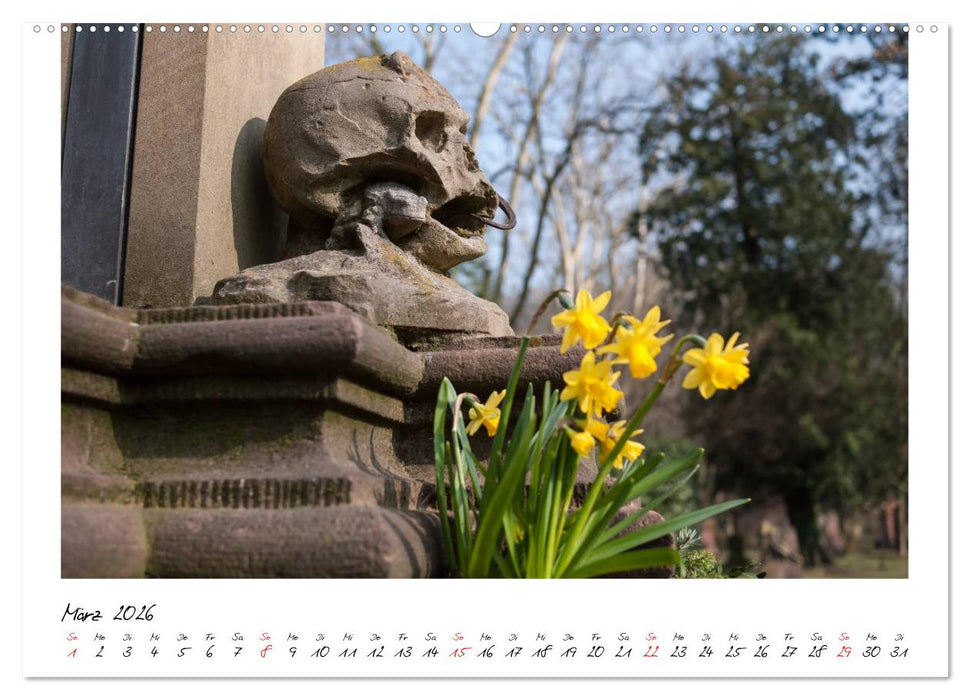 Alter Friedhof Freiburg (CALVENDO Premium Wandkalender 2026)