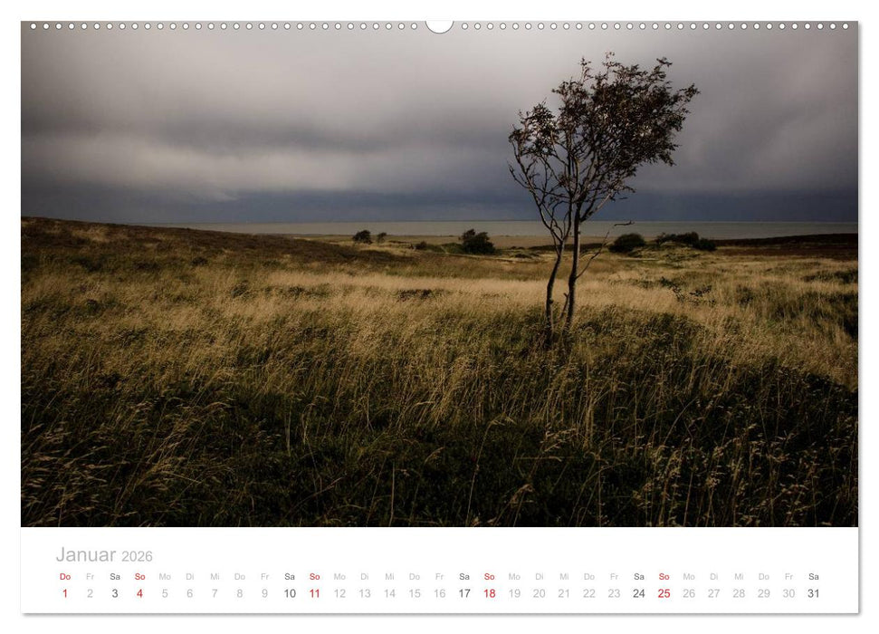 Sylt im Herbst (CALVENDO Premium Wandkalender 2026)