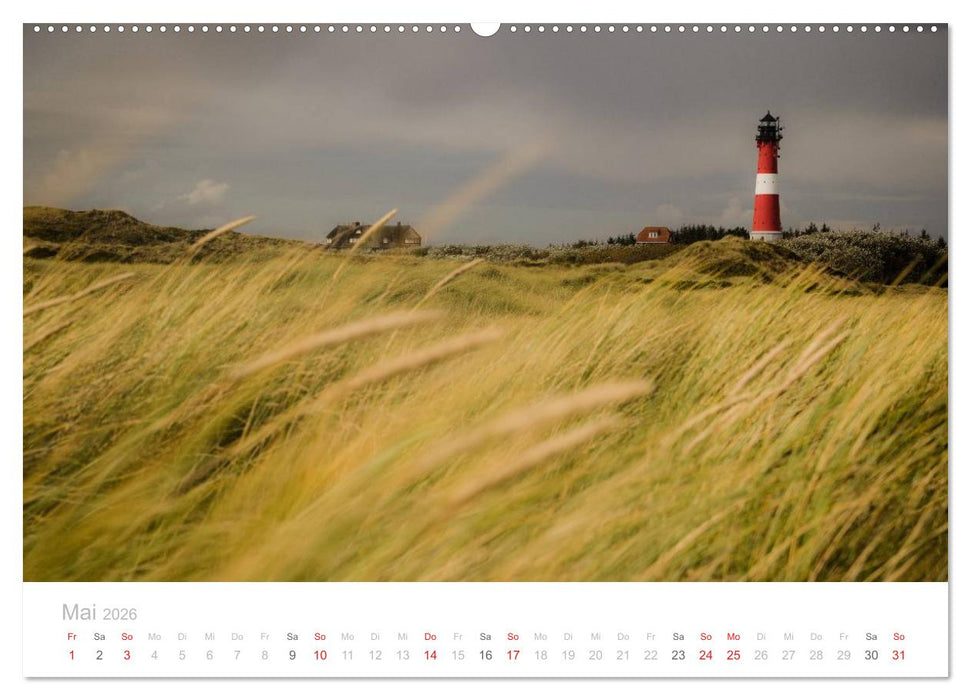 Sylt im Herbst (CALVENDO Premium Wandkalender 2026)