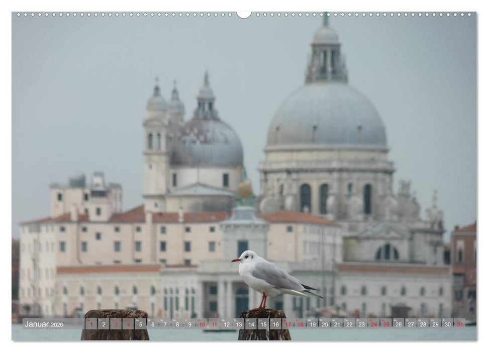 VENEDIG - Perle der Lagune (CALVENDO Premium Wandkalender 2026)