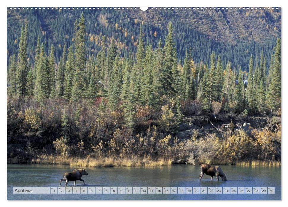 Wildes Alaska Christian Heeb (CALVENDO Wandkalender 2026)