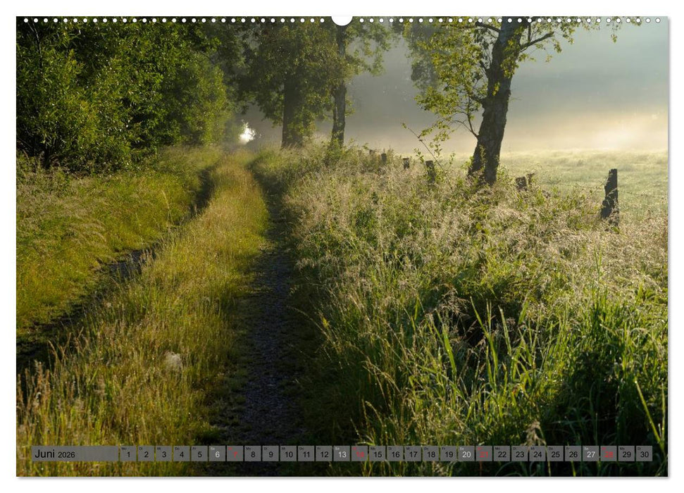 Der Niederrhein im Wandel der Jahreszeiten (CALVENDO Premium Wandkalender 2026)