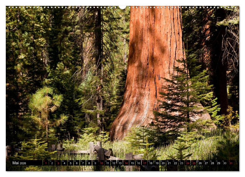 Yosemite - USA (CALVENDO Premium Wandkalender 2026)
