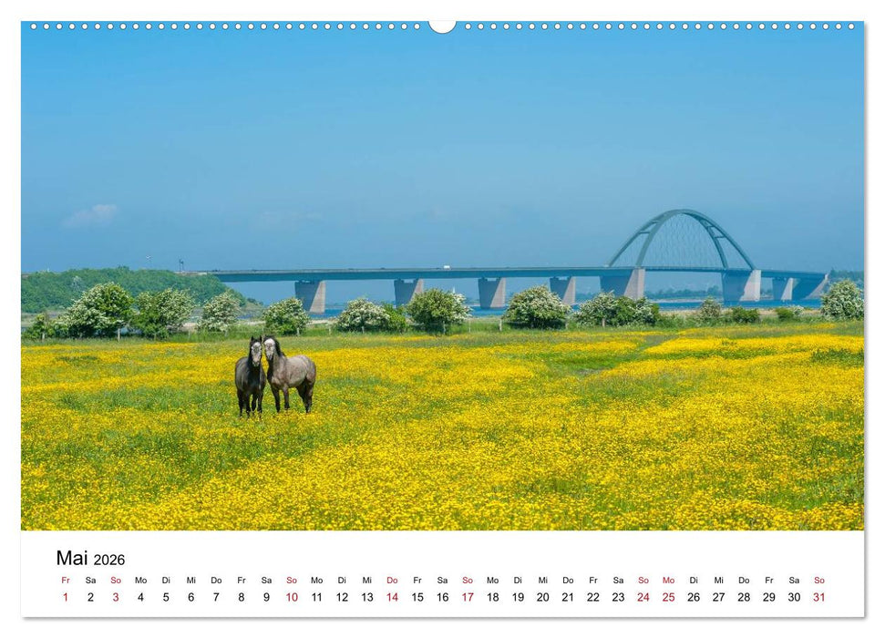 Fehmarn - "fe mer" natürlich "am Meer gelegen" (CALVENDO Premium Wandkalender 2026)