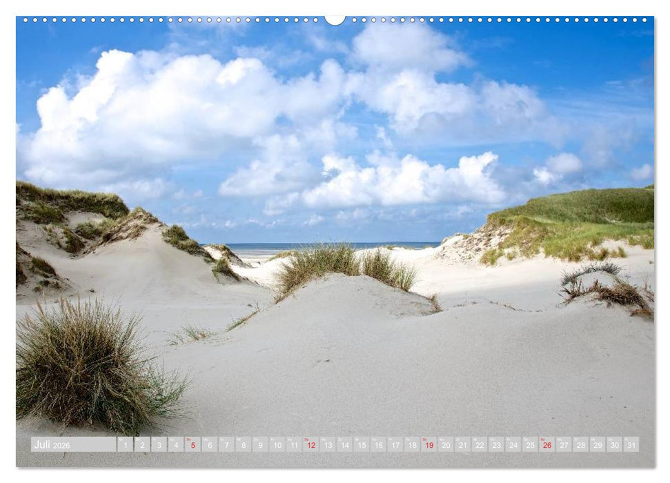 Amrum, die Perle in der Nordsee (CALVENDO Premium Wandkalender 2026)