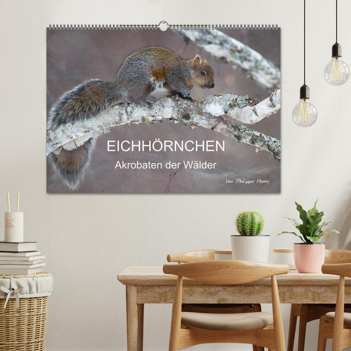 EICHHÖRNCHEN (CALVENDO Wandkalender 2026)
