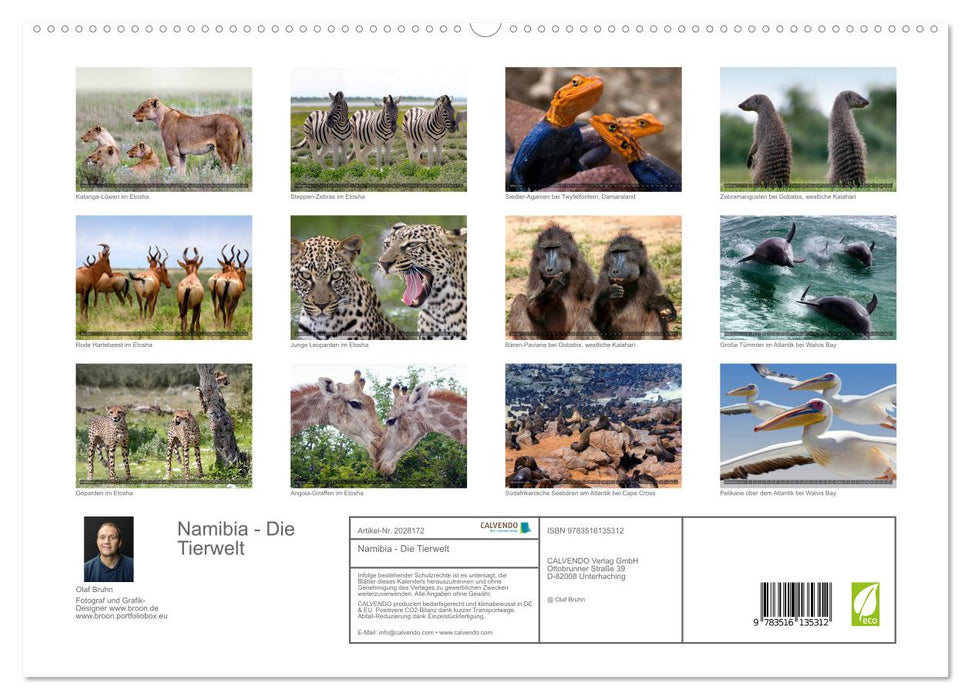 Namibia - Die Tierwelt (CALVENDO Premium Wandkalender 2026)