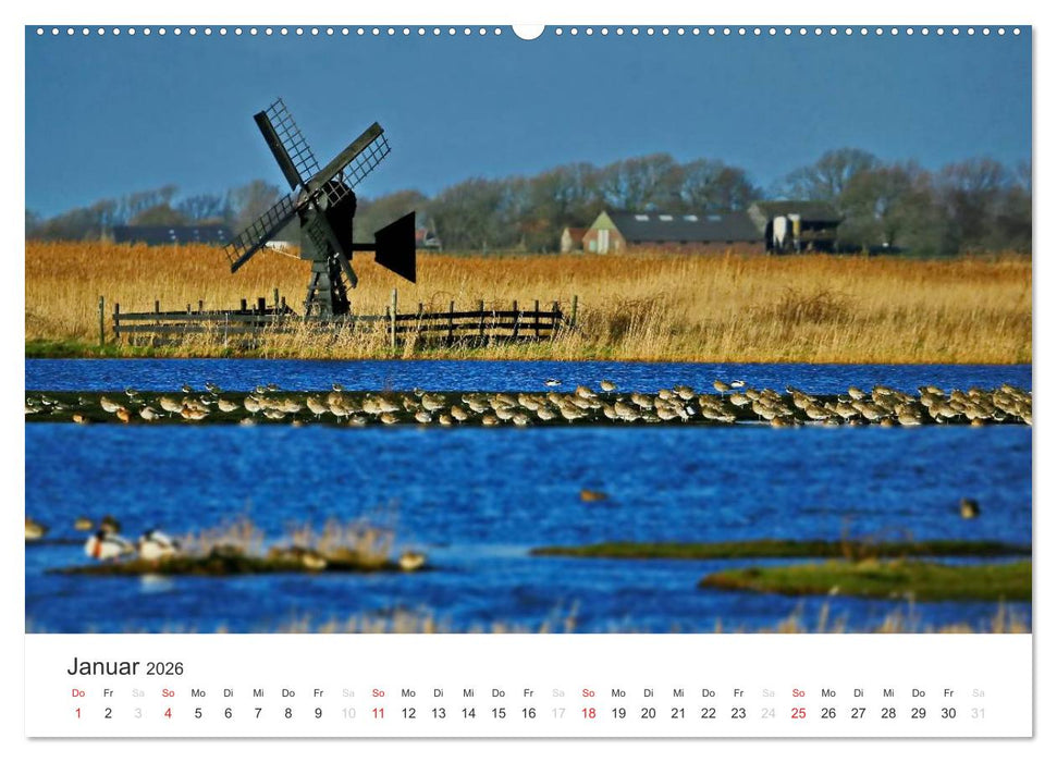 Texel – Eine Insel die verzaubert (CALVENDO Premium Wandkalender 2026)