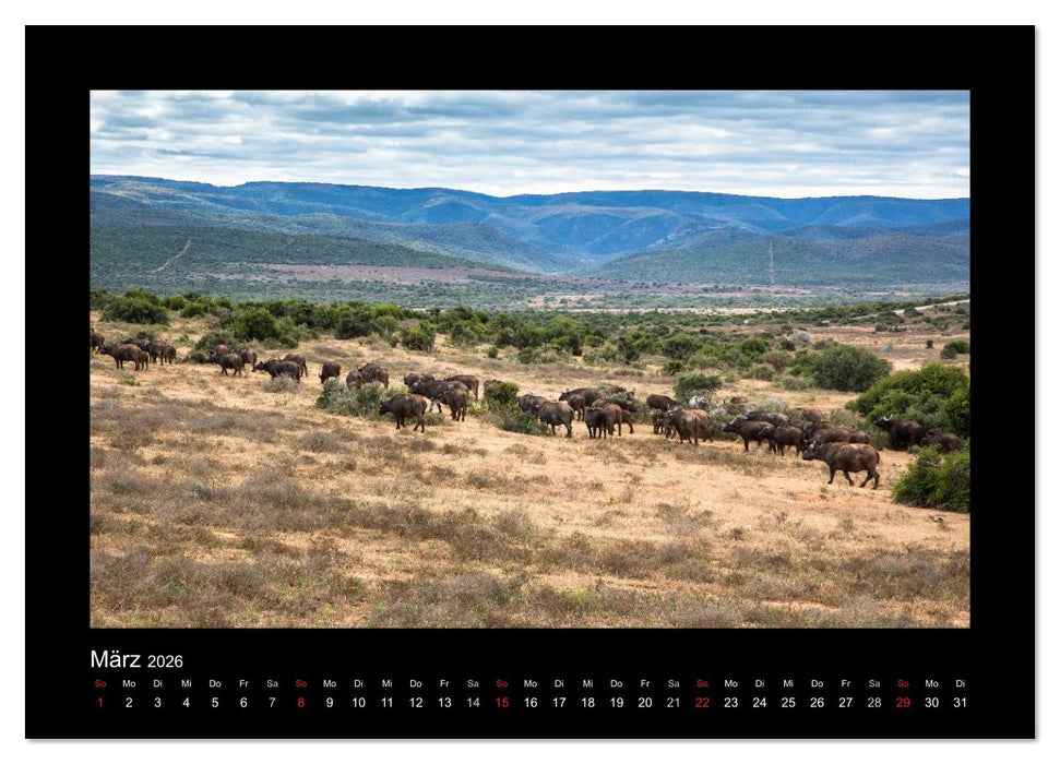 Südafrika - Garden Route (CALVENDO Wandkalender 2026)