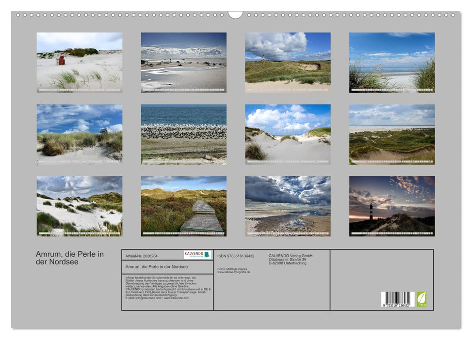 Amrum, die Perle in der Nordsee (CALVENDO Wandkalender 2026)