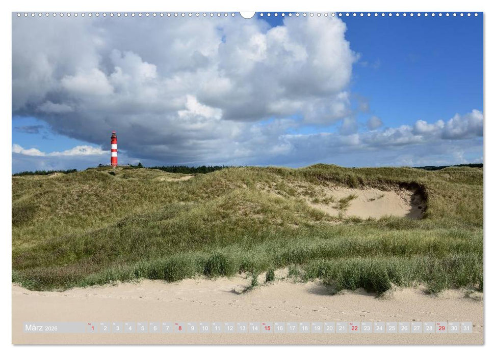 Amrum, die Perle in der Nordsee (CALVENDO Wandkalender 2026)