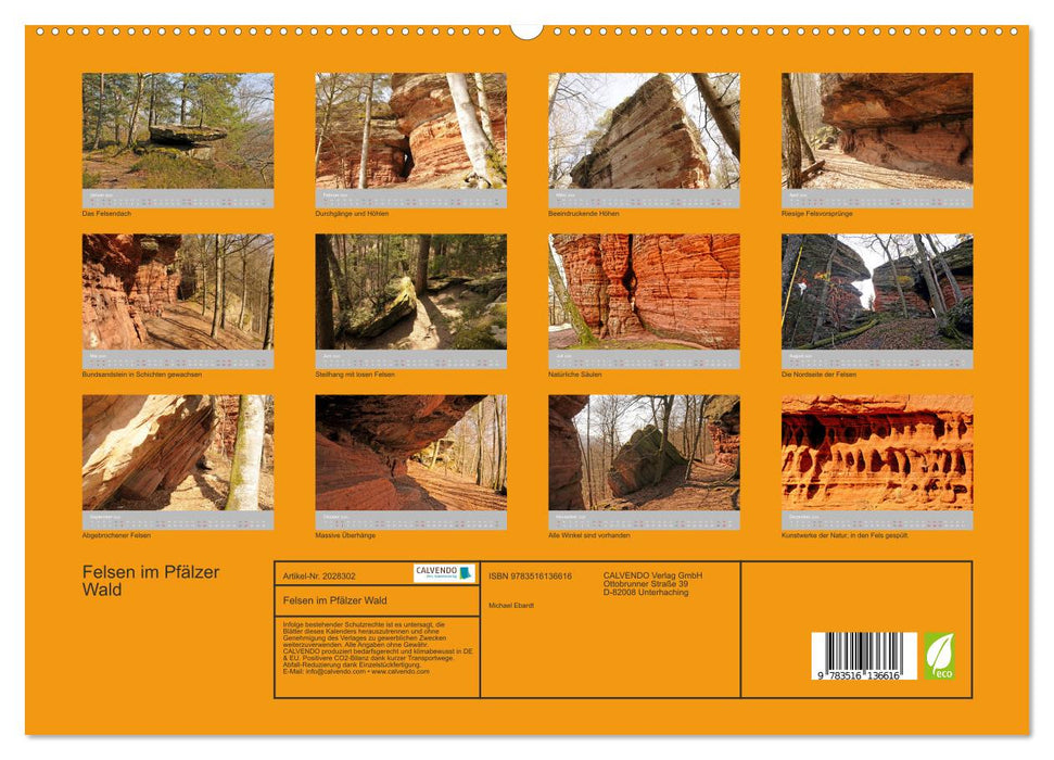Felsen im Pfälzer Wald (CALVENDO Premium Wandkalender 2026)