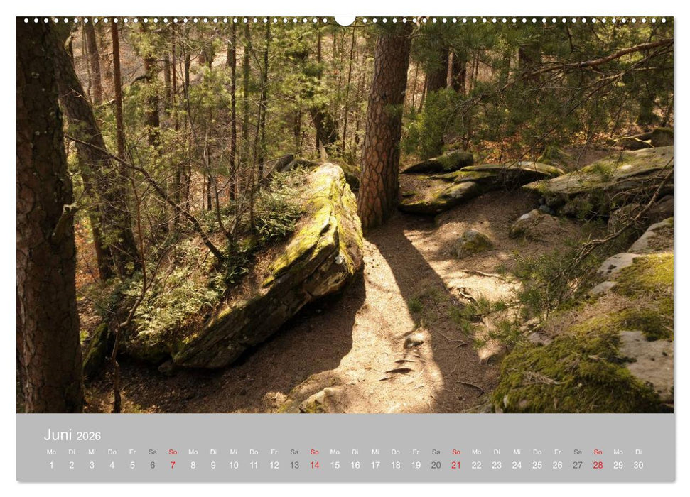 Felsen im Pfälzer Wald (CALVENDO Premium Wandkalender 2026)