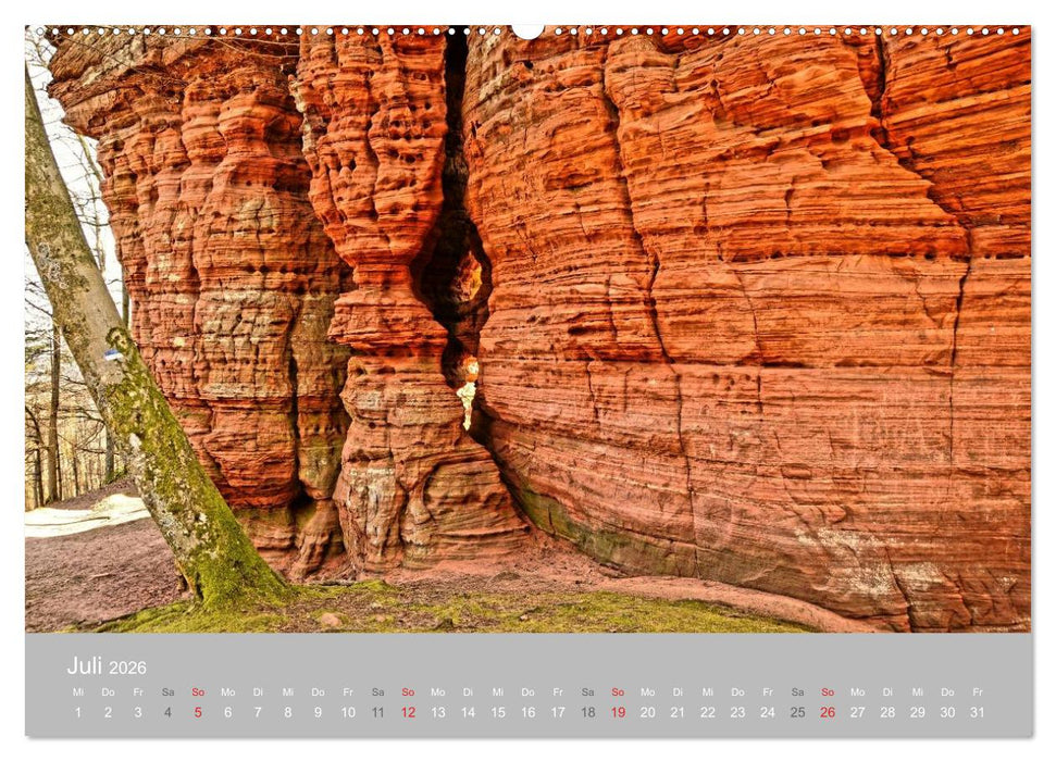 Felsen im Pfälzer Wald (CALVENDO Premium Wandkalender 2026)
