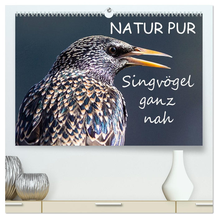 NATUR PUR - Singvögel ganz nah (CALVENDO Premium Wandkalender 2026)
