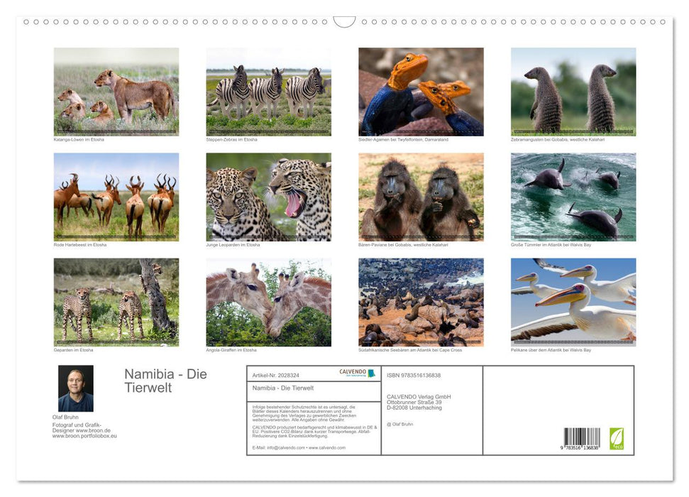 Namibia - Die Tierwelt (CALVENDO Wandkalender 2026)