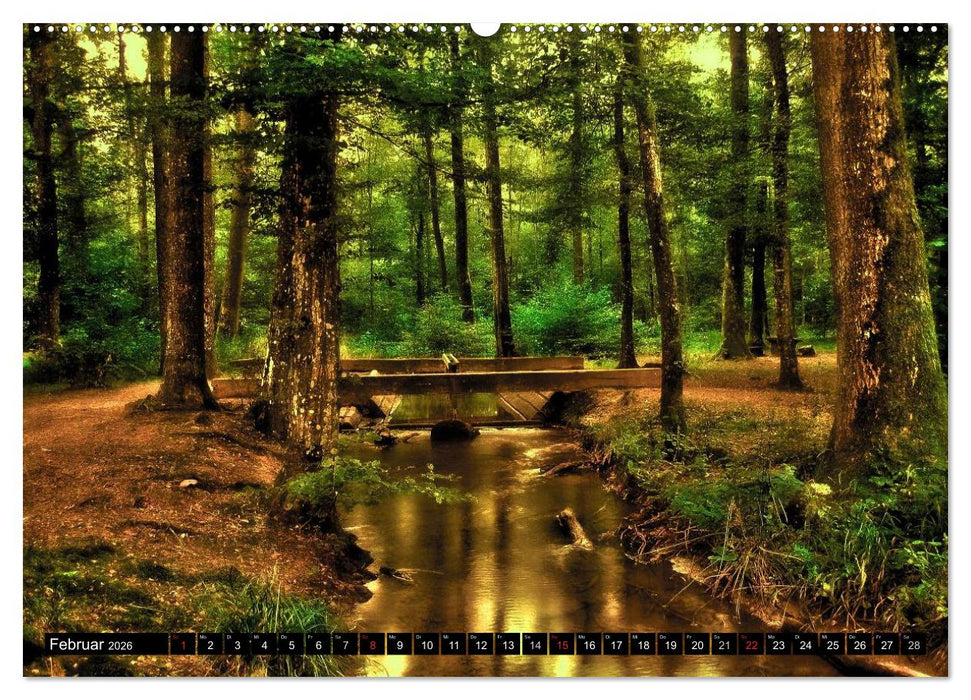 Landschaften im Farbrausch (CALVENDO Premium Wandkalender 2026)