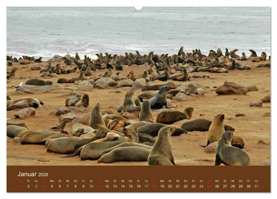 Namibia - faszinierende Menschen und Tiere (CALVENDO Premium Wandkalender 2026)