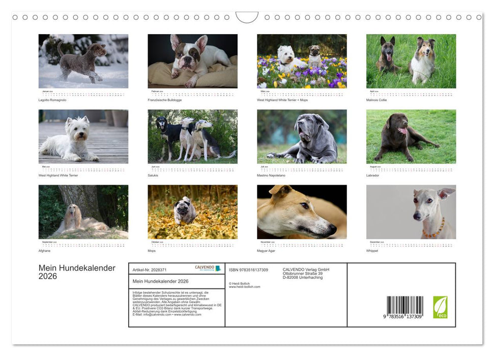 Mein Hundekalender 2026 (CALVENDO Wandkalender 2026)