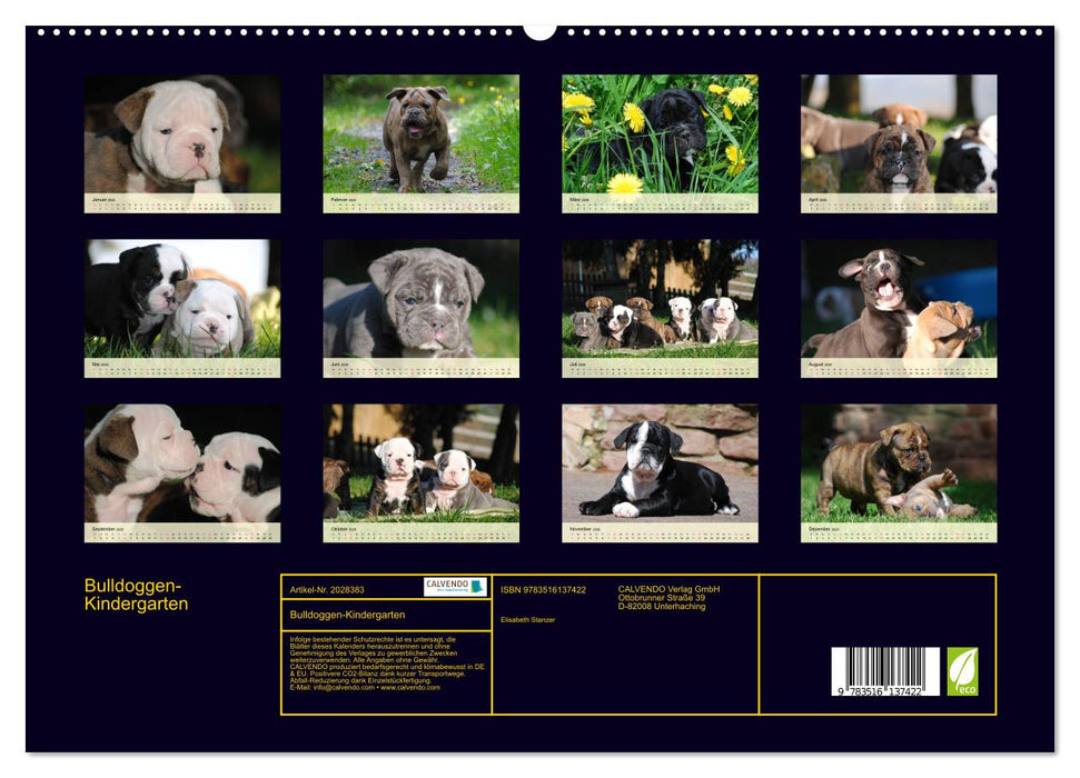 Bulldoggen-Kindergarten (CALVENDO Premium Wandkalender 2026)