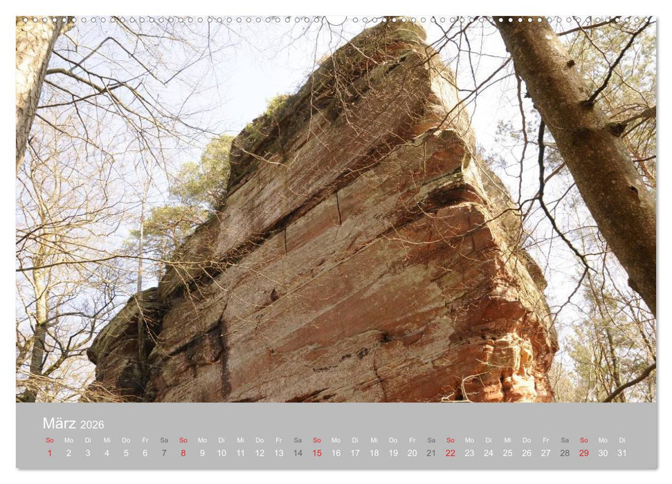 Felsen im Pfälzer Wald (CALVENDO Wandkalender 2026)