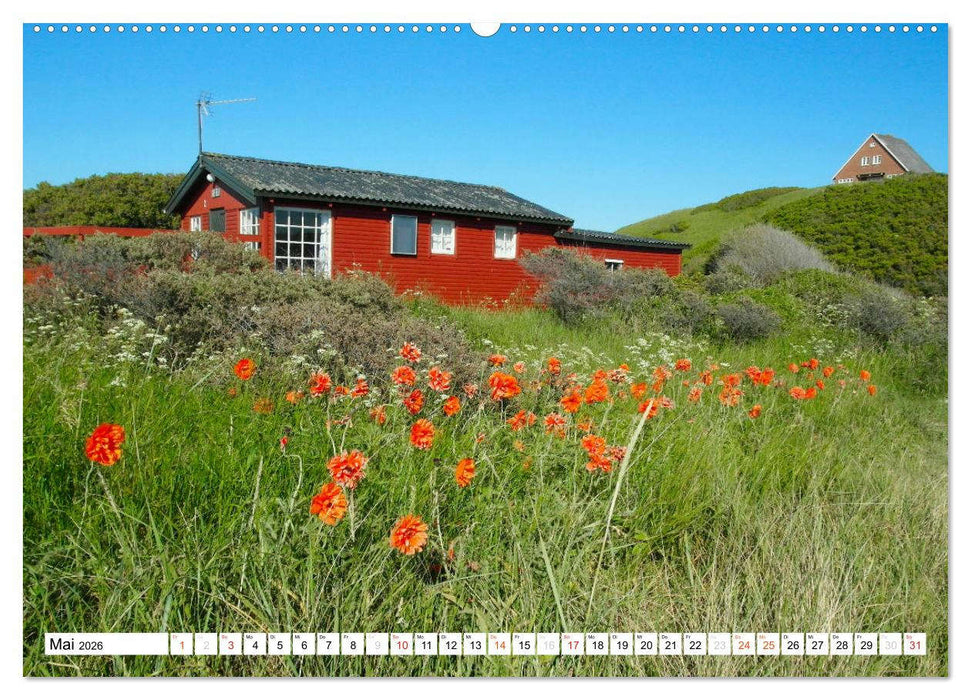 Dänemark Pur (CALVENDO Premium Wandkalender 2026)