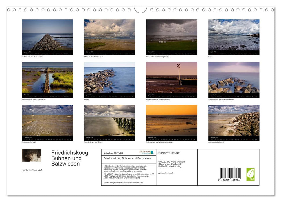 Friedrichskoog Buhnen und Salzwiesen (CALVENDO Wandkalender 2026)