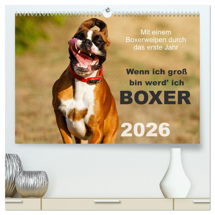 Wenn ich groß bin werd' ich Boxer (CALVENDO Premium Wandkalender 2026)