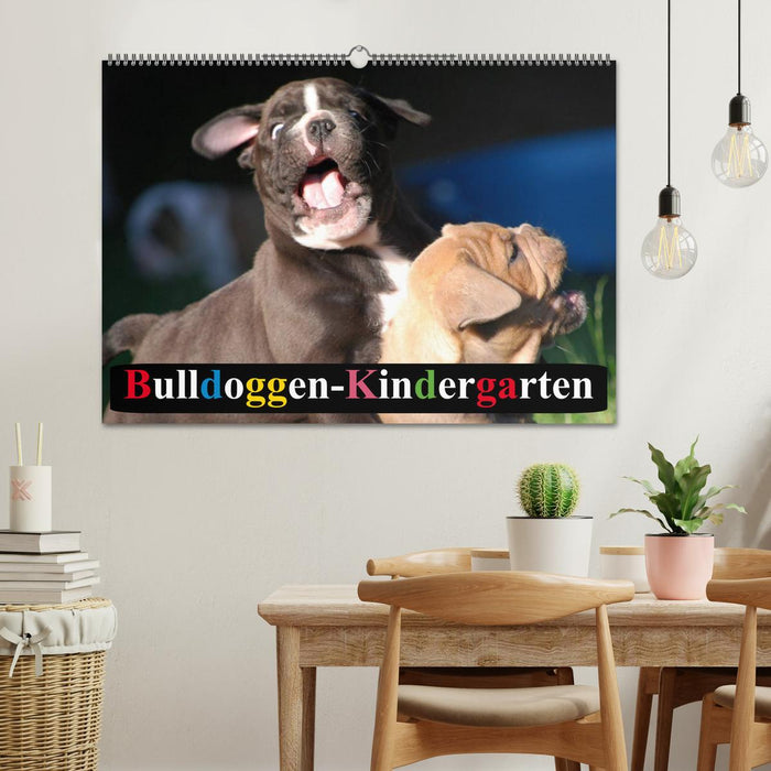 Bulldoggen-Kindergarten (CALVENDO Wandkalender 2026)