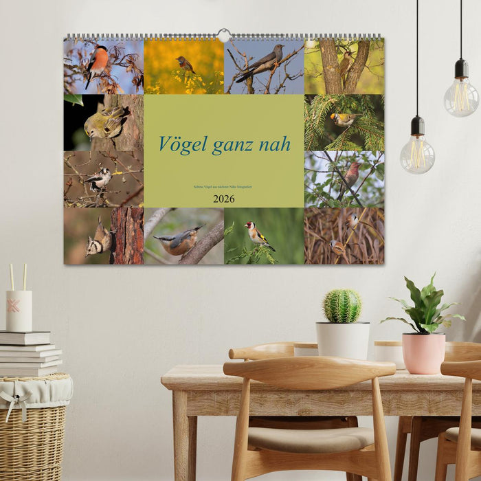 Vögel ganz nah (CALVENDO Wandkalender 2026)