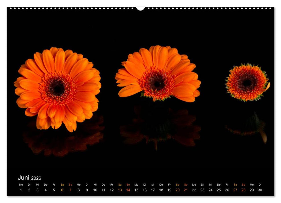 Verändertes (CALVENDO Premium Wandkalender 2026)