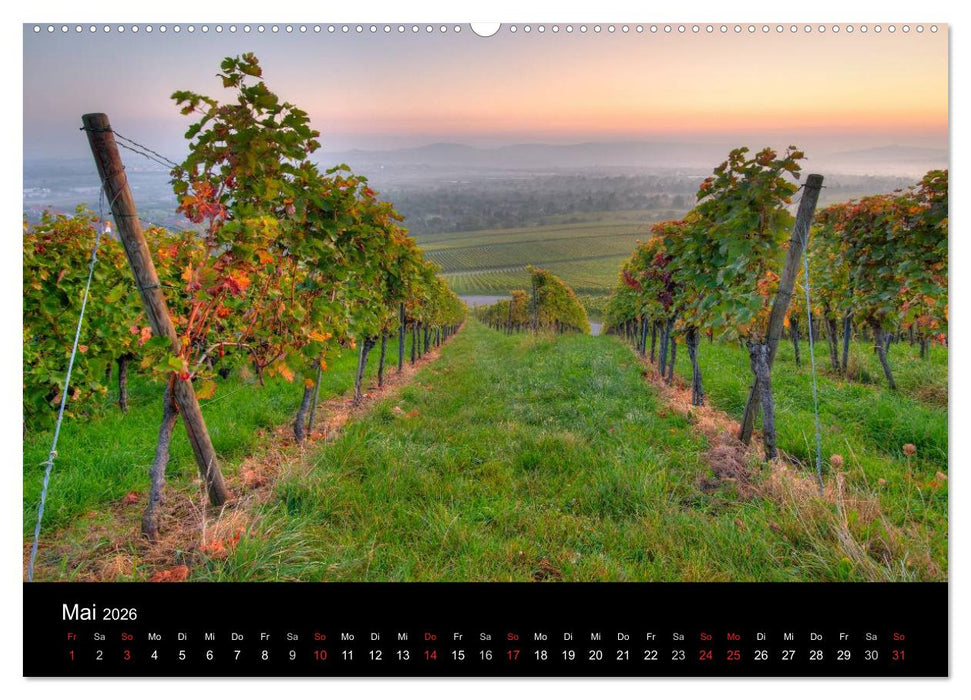 Weinberge im Remstal (CALVENDO Premium Wandkalender 2026)