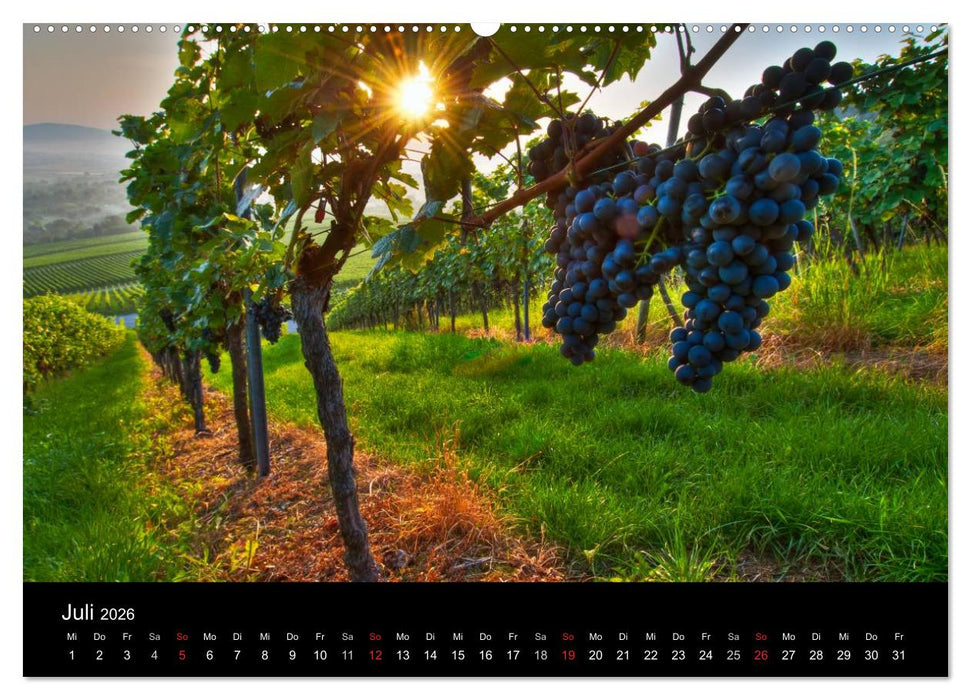 Weinberge im Remstal (CALVENDO Premium Wandkalender 2026)