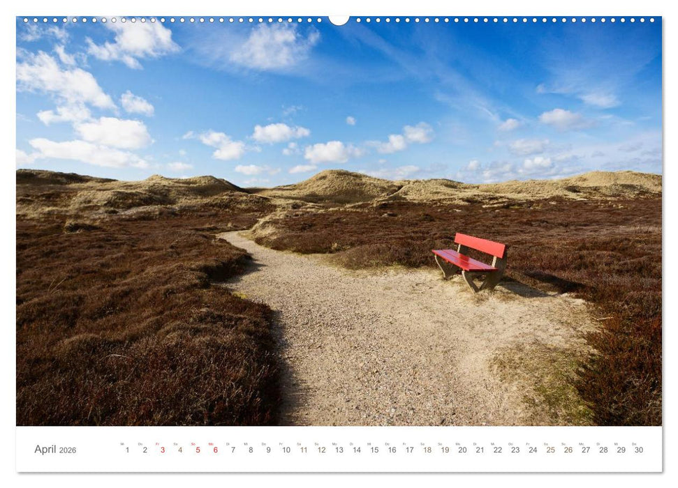 Stege & Wege auf Sylt (CALVENDO Premium Wandkalender 2026)