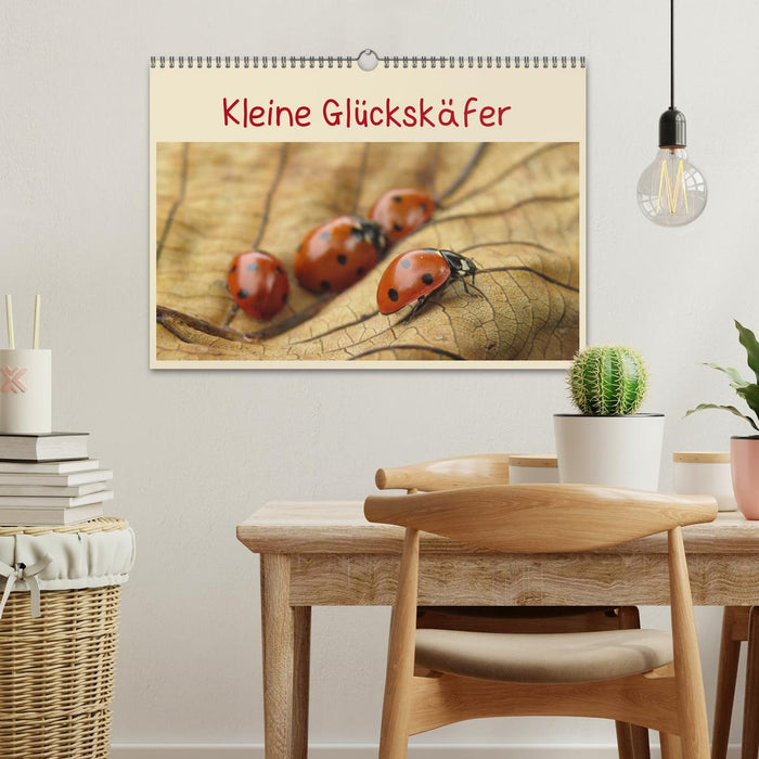 Kleine Glückskäfer (CALVENDO Wandkalender 2026)