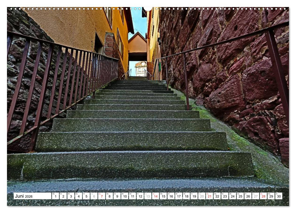 Altensteig (CALVENDO Premium Wandkalender 2026)