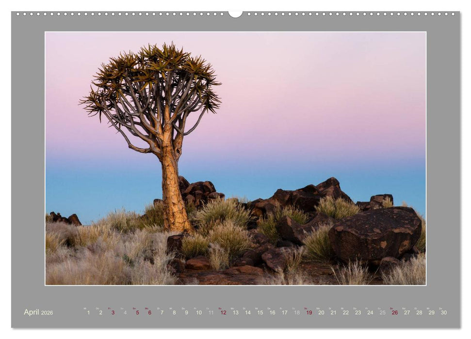 Namibia - Die Farben der Namib (CALVENDO Wandkalender 2026)