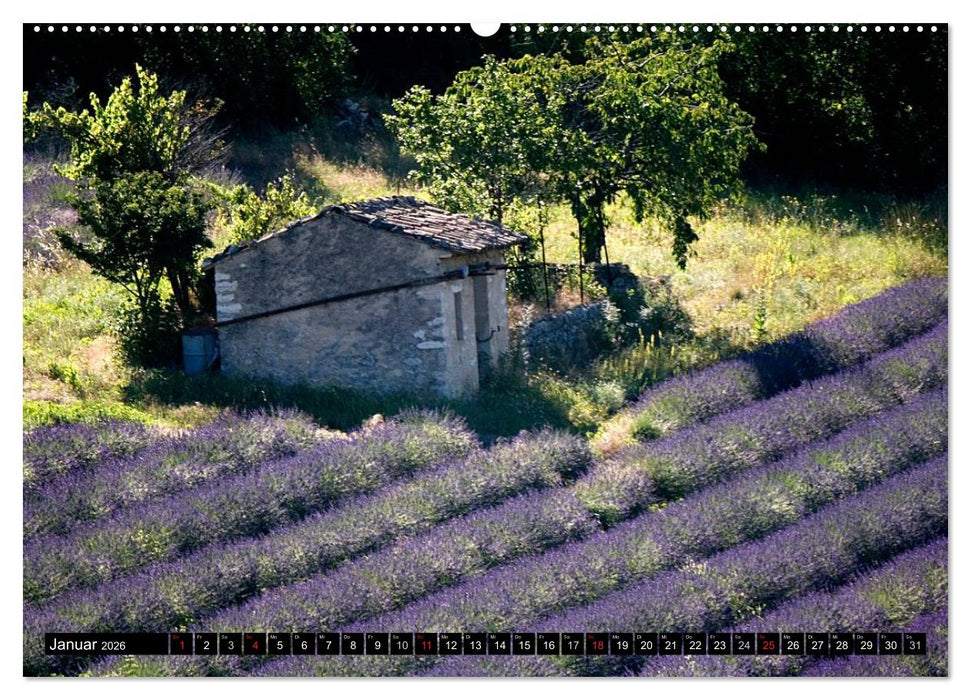 Provence Impressionen (CALVENDO Wandkalender 2026)