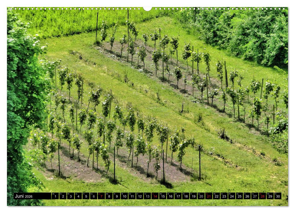 Bautzen mit seinen schönsten Ansichten (CALVENDO Wandkalender 2026)