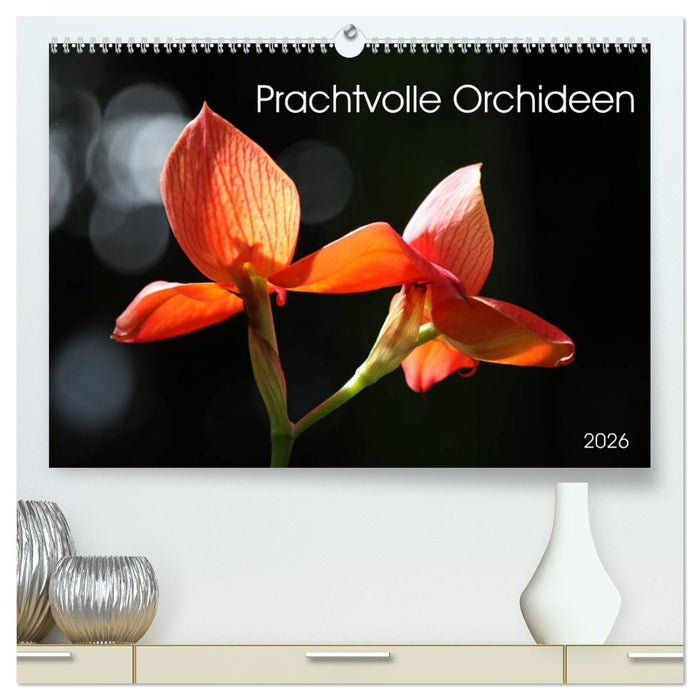 Prachtvolle Orchideen (CALVENDO Premium Wandkalender 2026)