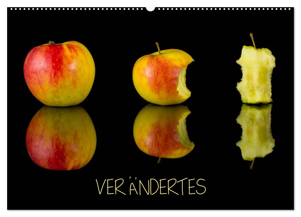 Verändertes (CALVENDO Wandkalender 2026)