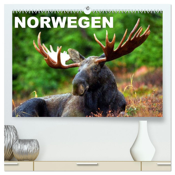 Norwegen (CALVENDO Premium Wandkalender 2026)