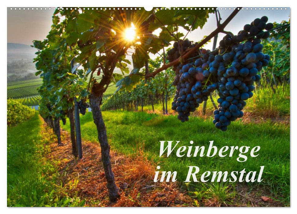 Weinberge im Remstal (CALVENDO Wandkalender 2026)