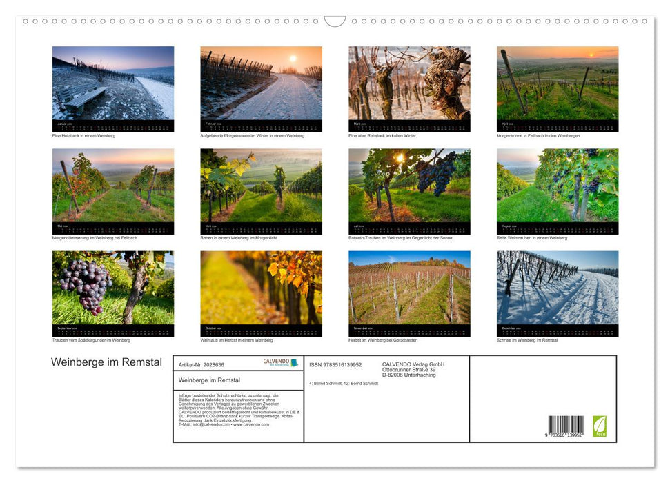 Weinberge im Remstal (CALVENDO Wandkalender 2026)