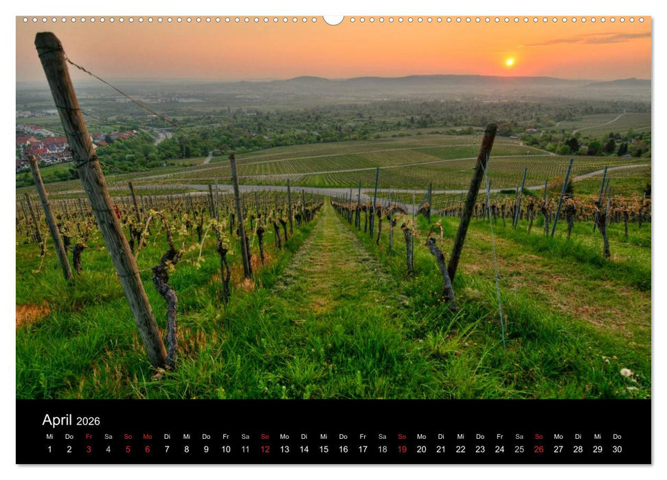 Weinberge im Remstal (CALVENDO Wandkalender 2026)