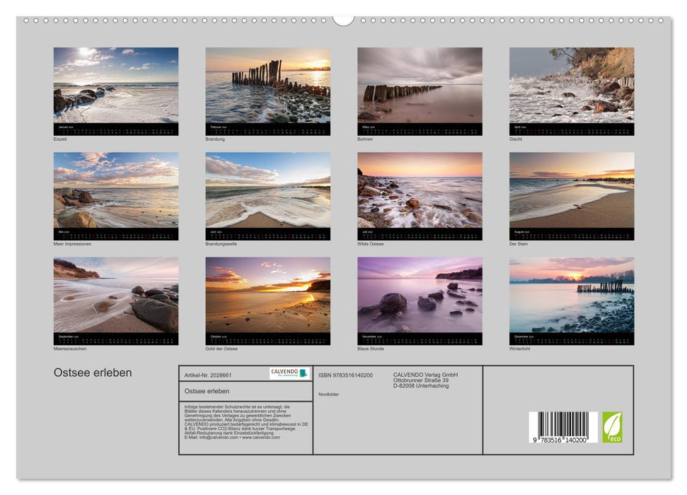 Ostsee erleben (CALVENDO Premium Wandkalender 2026)