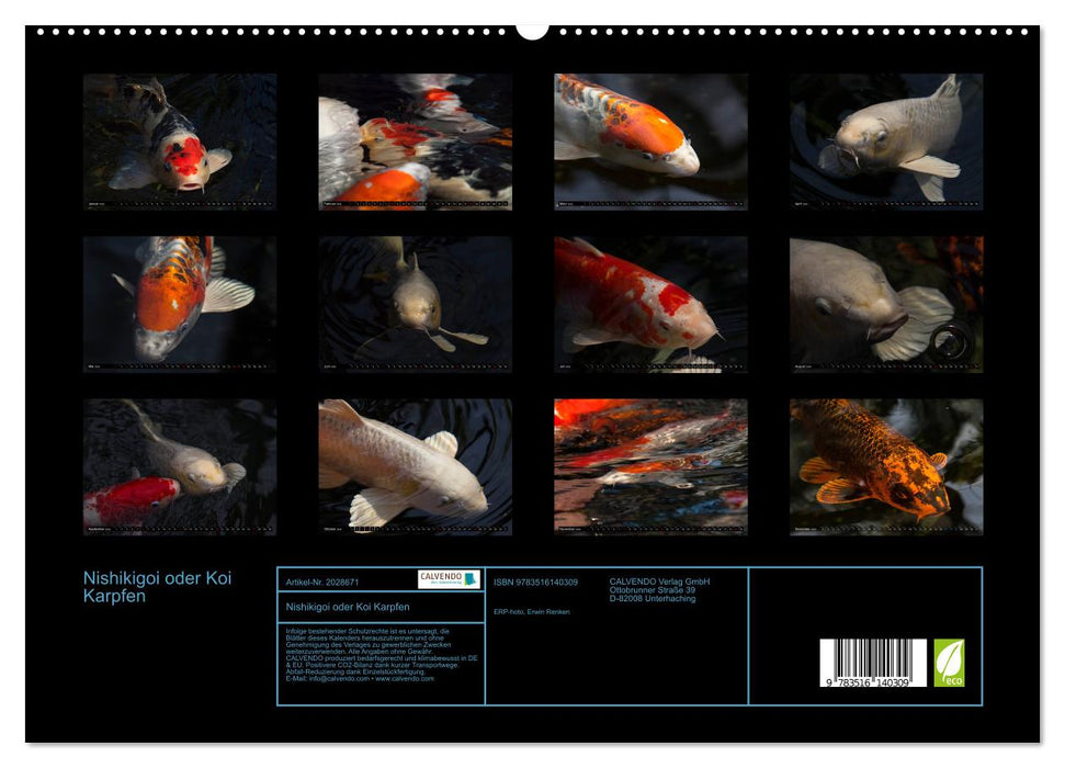 Nishikigoi oder Koi Karpfen (CALVENDO Premium Wandkalender 2026)