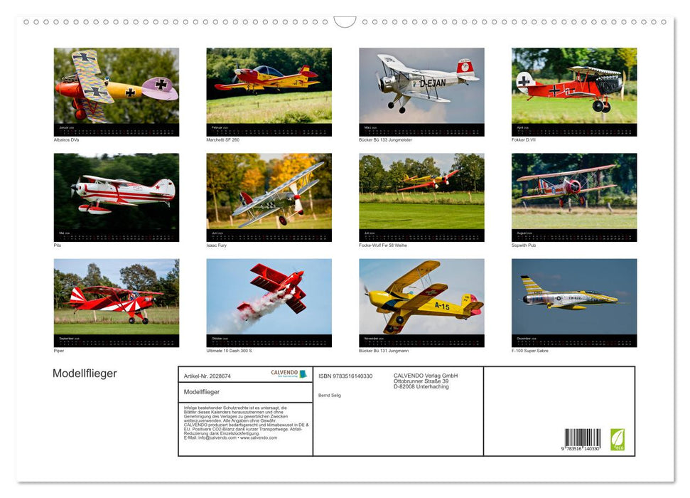 Modellflieger (CALVENDO Wandkalender 2026)